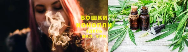 стафф Волосово