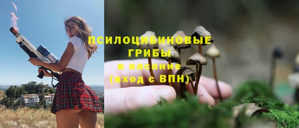 трава Верея