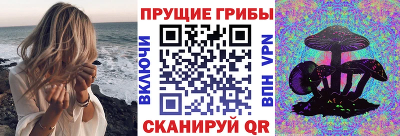 Псилоцибиновые грибы мухоморы  как найти   Томск 