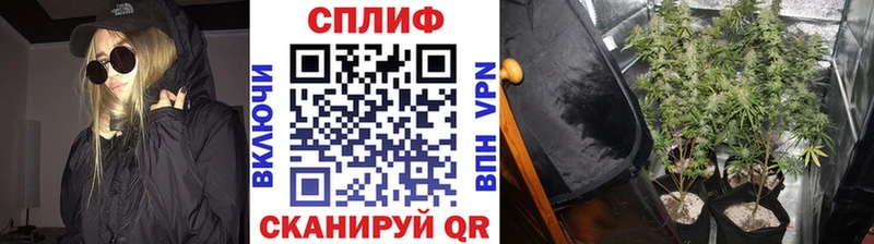 Шишки марихуана MAZAR  где продают   Томск 
